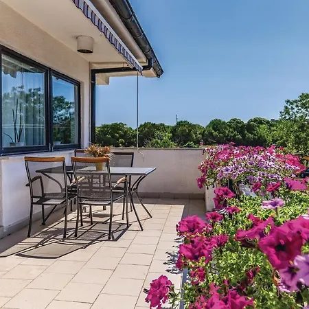 Amazing In With Wifi