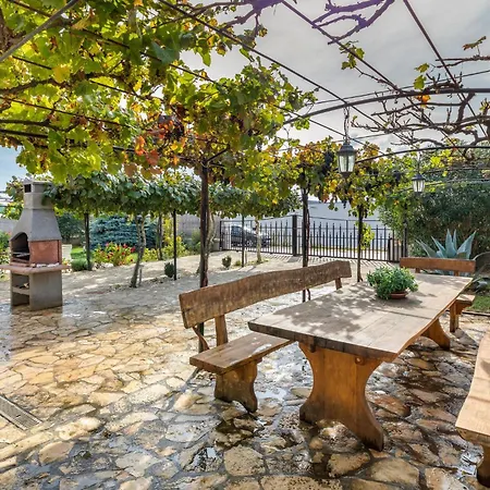 Amazing In With Wifi * Pola