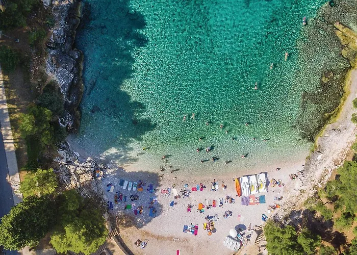 Apartment Amazing In With Wifi