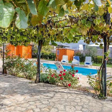 Apartment Amazing In With Wifi Pula